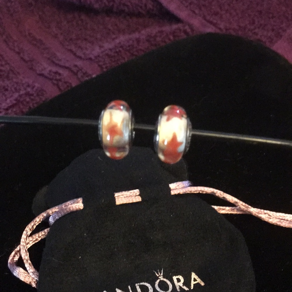 Authentic retired Pandora charm - Picture 2 of 4